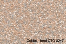 colibri - fond CTO 0247