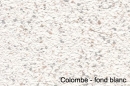 colombe - fond blanc