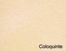 coloquinte