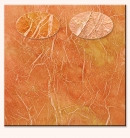 Reflet 5